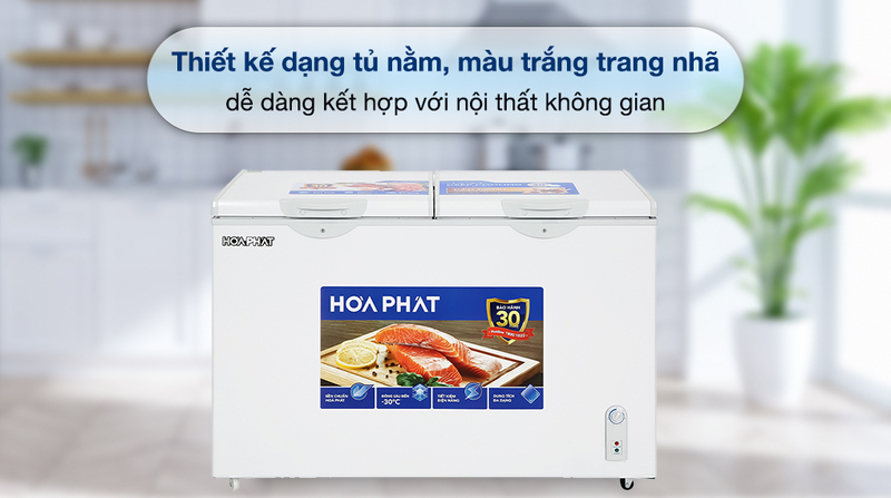 Tủ đông Hòa Phát Inverter 252 lít HPF AD8252