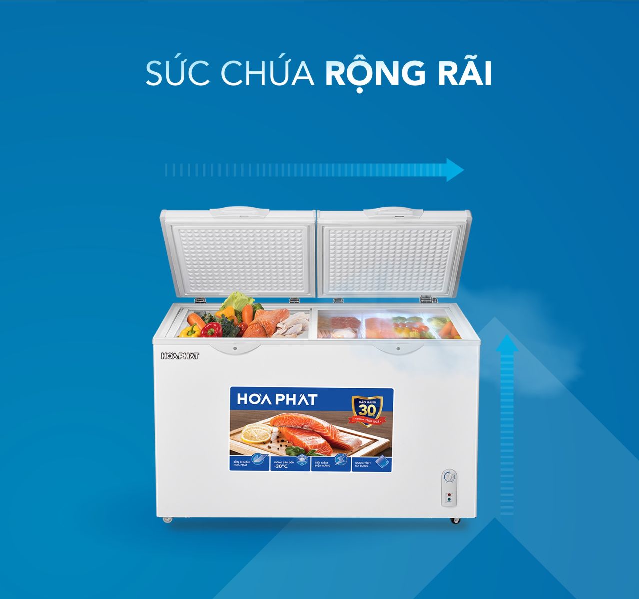 Tủ đông Hòa Phát mặt kính 352 lít HPF AD6352.T1