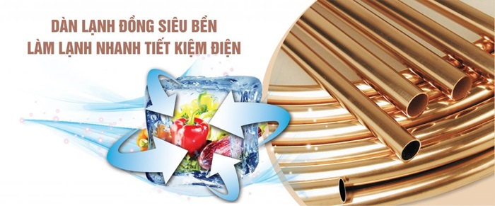Tủ đông Sanaky 208 lít VH2599A2KD