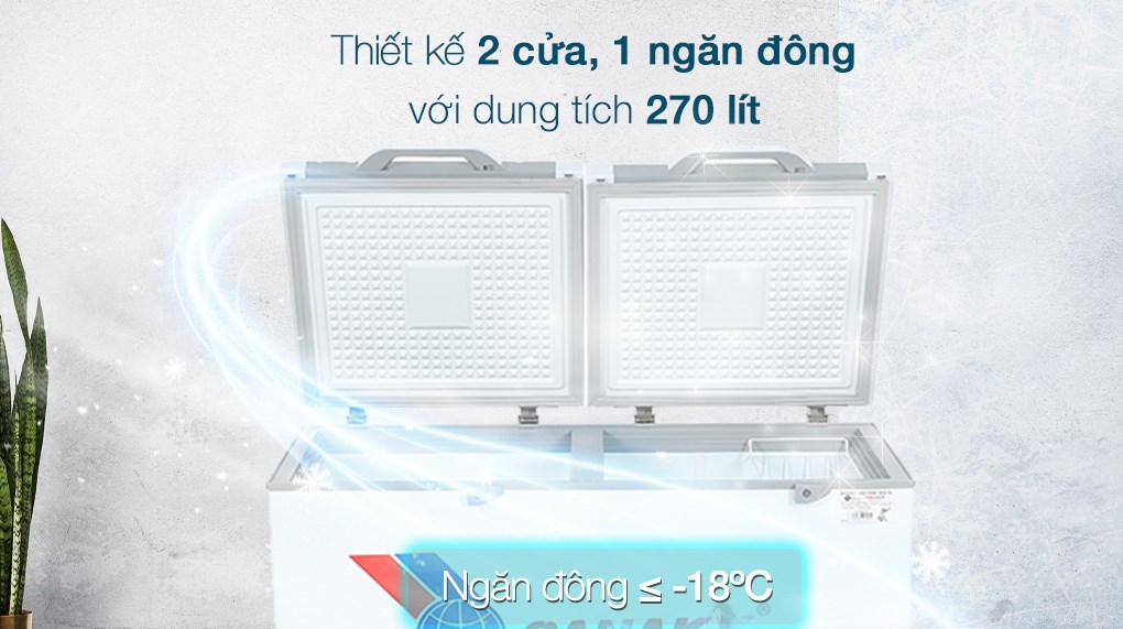 Tủ đông Sanaky 270 lít VH3699A2KD