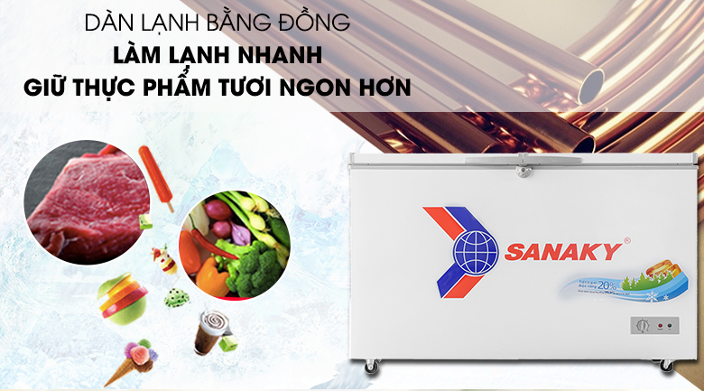 Tủ đông Sanaky 305 lít VH-405A2