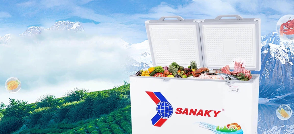 Tủ đông Sanaky 305 lít VH4099A2KD