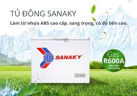 Tủ đông Sanaky VH-2299HY2 220 lít