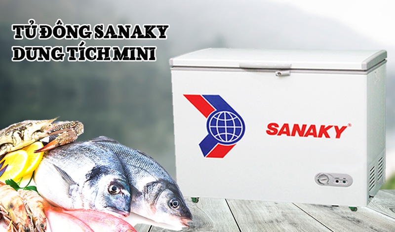 Tủ đông Sanaky VH-2599HY2 208 lít