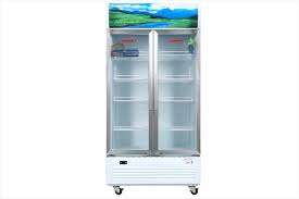 Tủ Mát Sanaky 900 lít VH-1009HP 2 cánh, dàn lạnh đồng