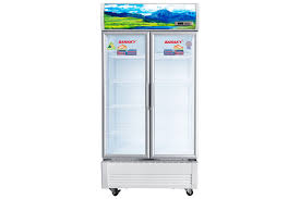Tủ Mát Sanaky Inverter 1100 lít VH1209HP3