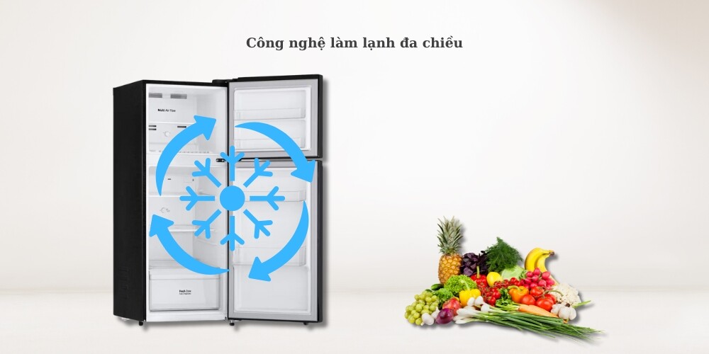 Tủ lạnh LG 217L LTB21BLMD