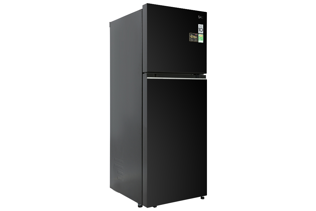 Tủ lạnh LG 217L LTB21BLMD