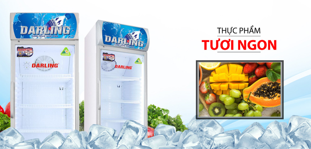 Tủ mát Darling DL-3200A3 320 lít inverter 1 cánh