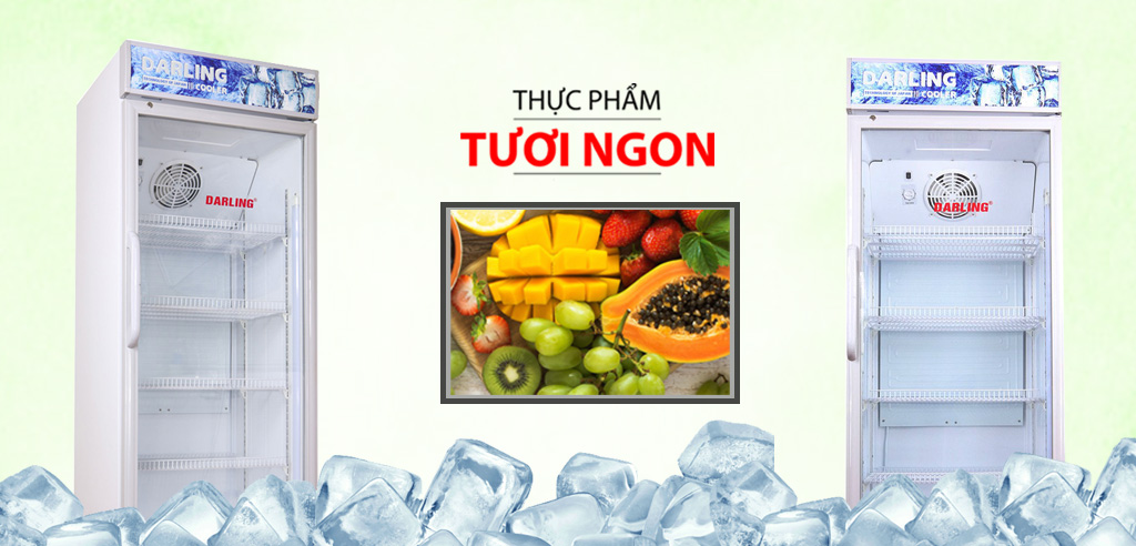 Tủ mát Darling DL-5000A2 500 lít 1 cánh
