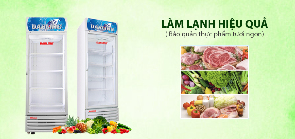 Tủ mát Darling DL-5000A3 500 lít inverter 1 cánh