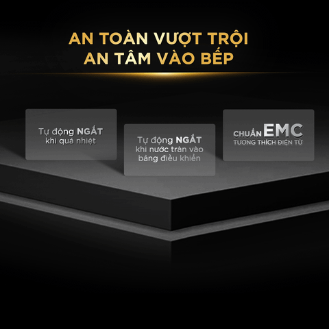 Bếp Từ Đôi BlueStone ICB-6949 5200W