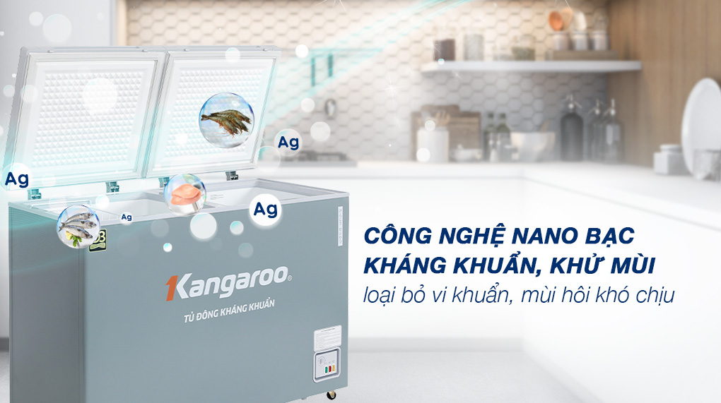 Tủ đông Kangaroo 252 lít KGFZ312NK2 