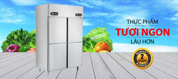 Tủ đông mát Sanaky 950 lít VH-1099W