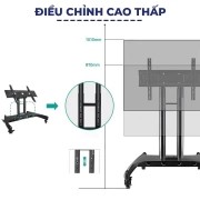Giá treo ERGOTEK E1355 ( 32" - 55" )