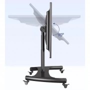 Giá treo ERGOTEK E1355 ( 32" - 55" )