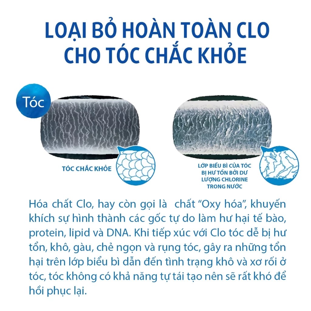Vòi sen tắm khử Clo Torayvino RS54