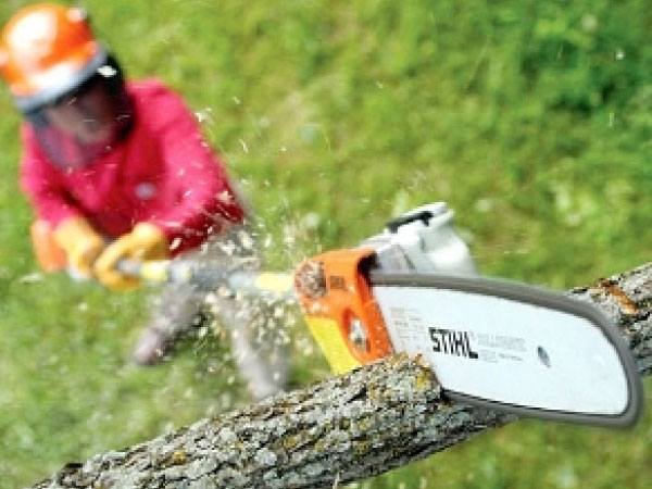 Máy cắt cành trên cao STIHL HT75