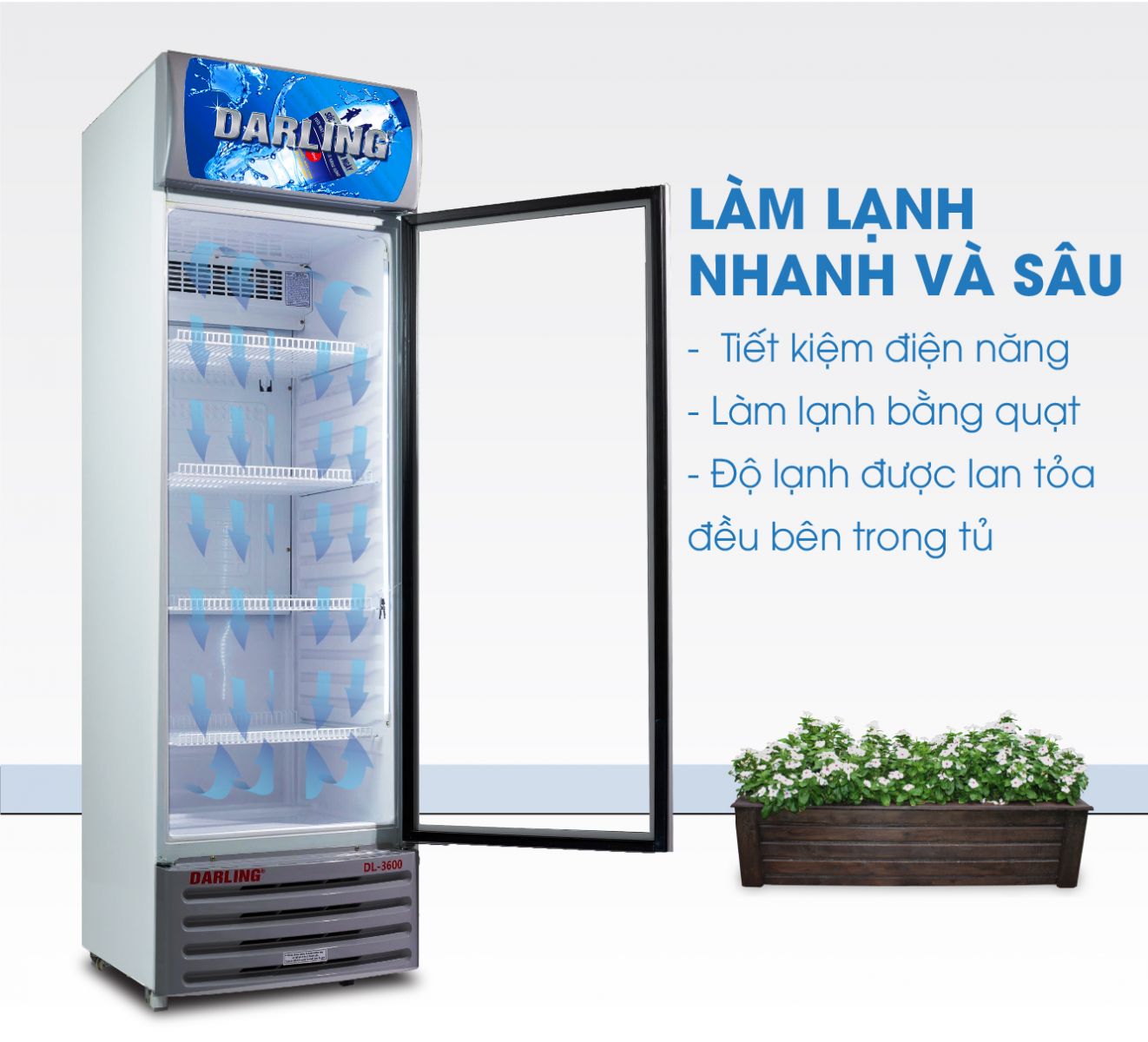 TỦ MÁT 1 CÁNH DARLING INVERTER DL-3600A5 380L KÍNH LOW-E ĐEN