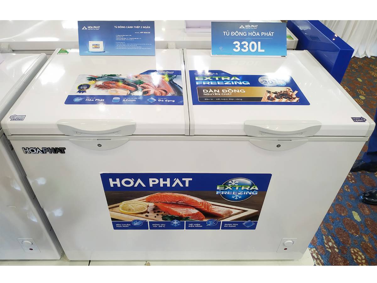 Tủ đông Hòa Phát HPF BD6330 330 lít