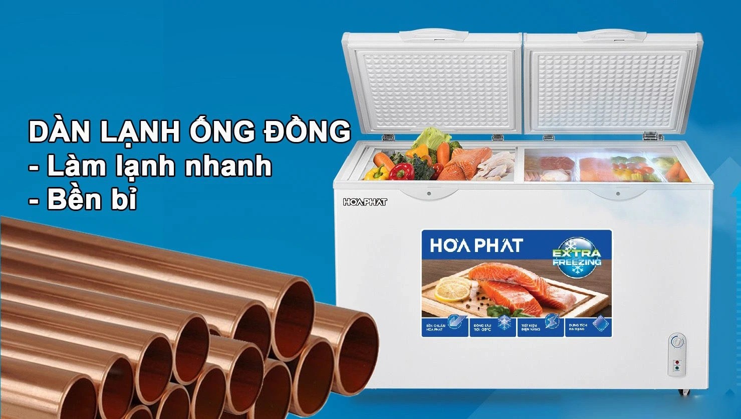 Tủ đông mát Hòa Phát 295L HPF BD6295