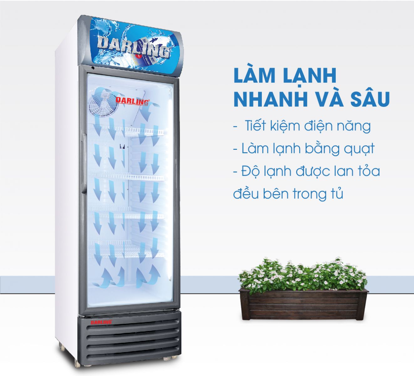 Tủ mát 1 cánh Darling DL-3600AL 380Lít