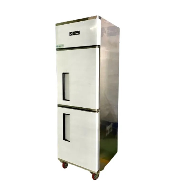 Tủ đông đứng 2 cánh Lightcool LS-500 350L