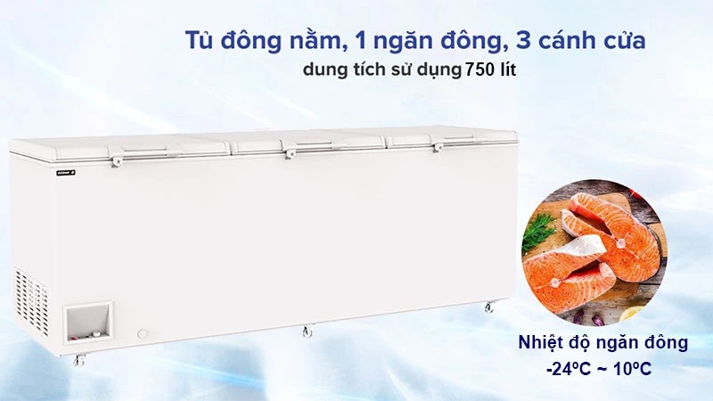 Tủ đông 2 cánh Inverter Sanden SNQ-0805i 818L